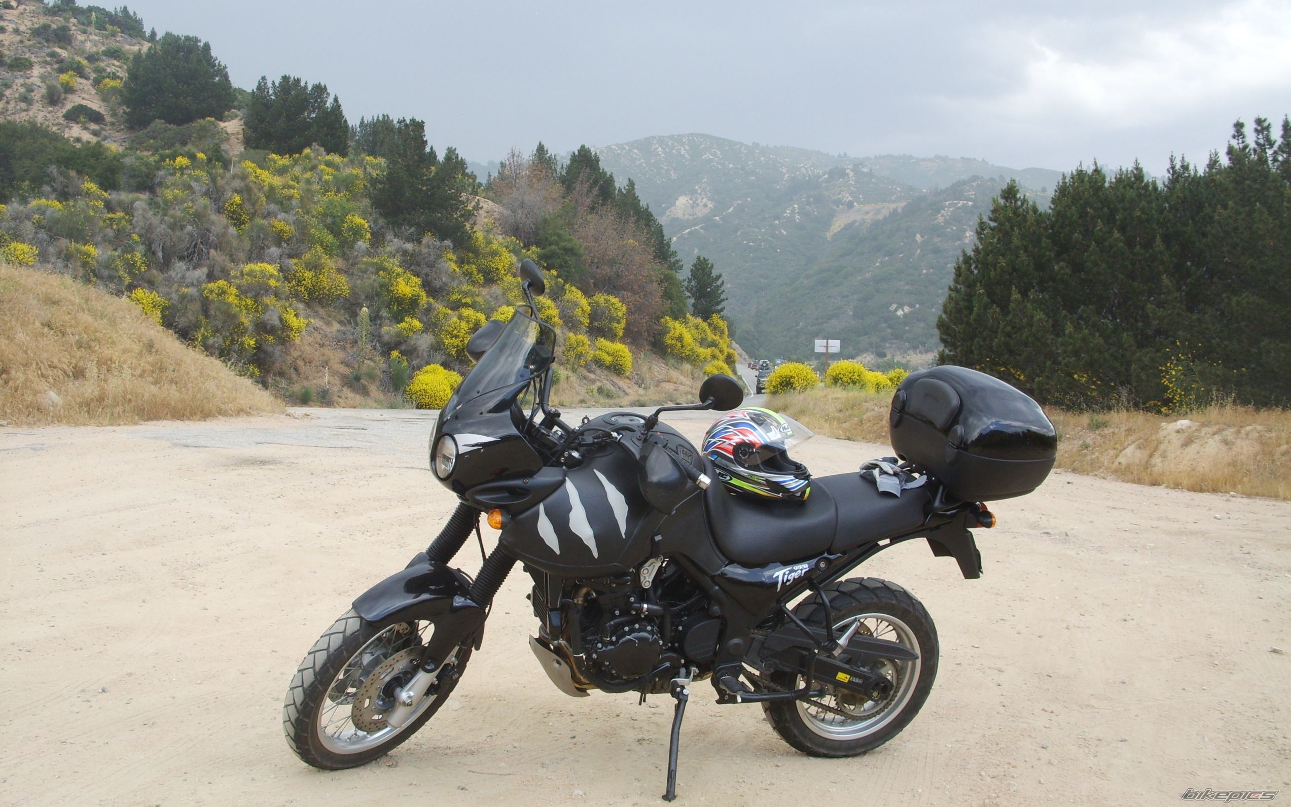 2002 TRIUMPH TIGER | Picture 1682297 motorcycle photo
