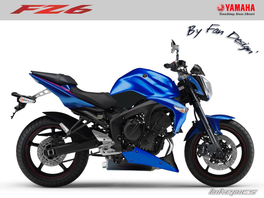 2008 YAMAHA FZ6 FAZER | Picture 1682373 motorcycle photo