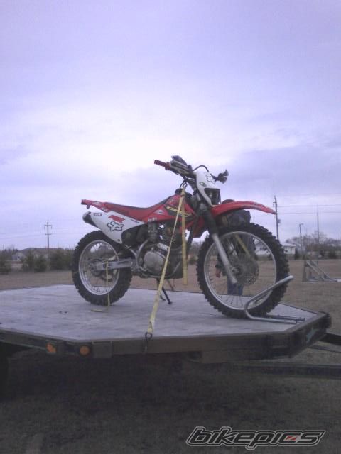 2003 HONDA CRF 230 | Picture 1682375 motorcycle photo