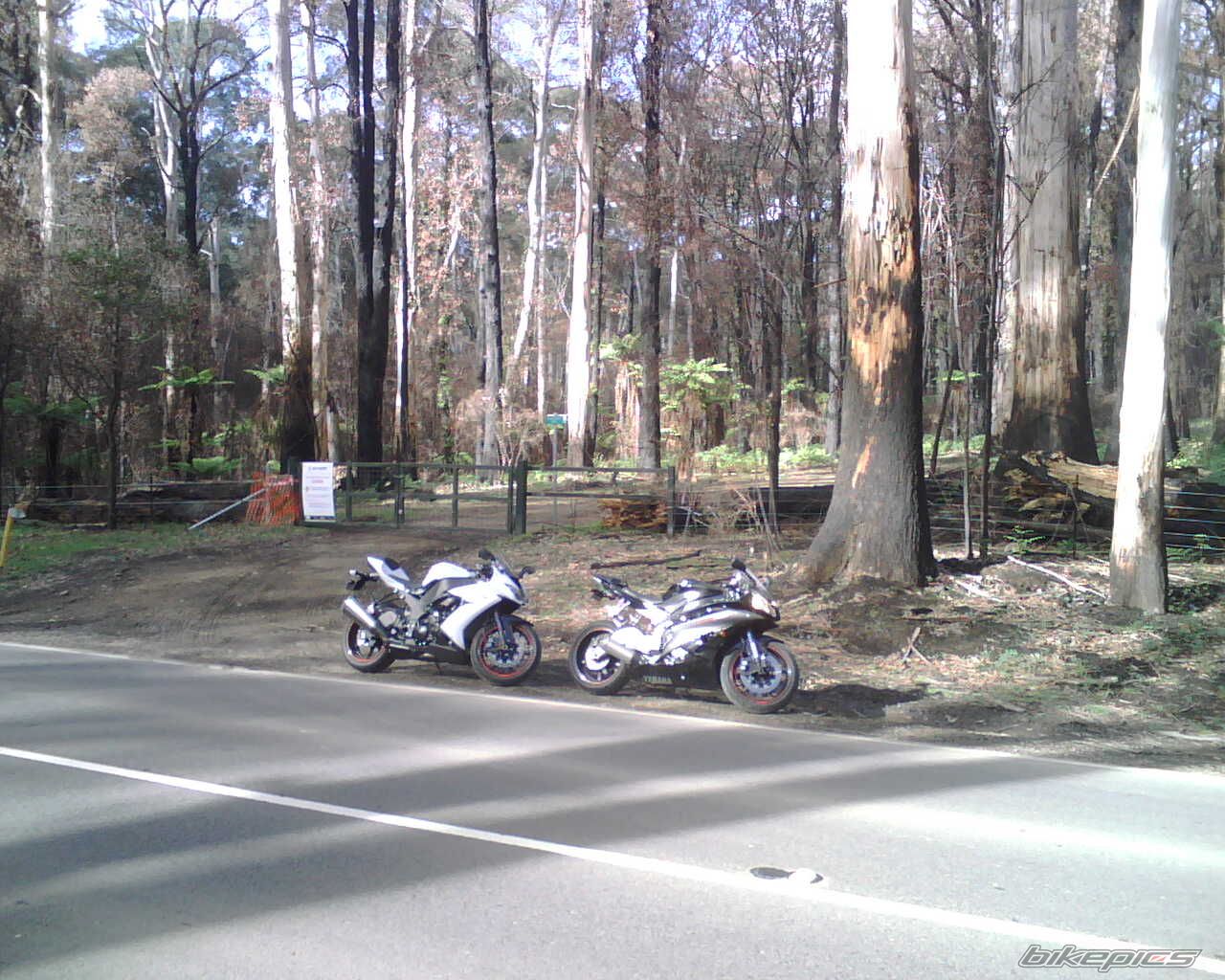 2009 KAWASAKI ZX 10R | Picture 1682496 motorcycle photo