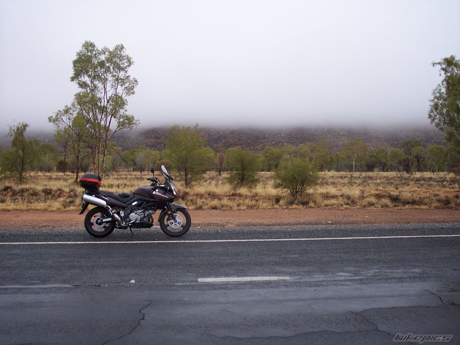 2009 SUZUKI DL 1000 | Picture 1682654 motorcycle photo