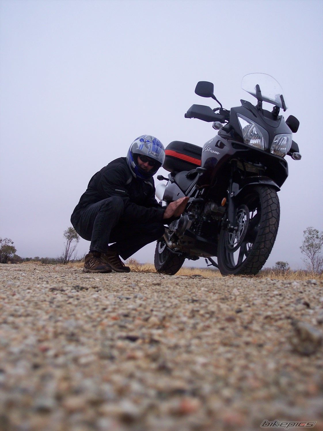 2009 SUZUKI DL 1000 | Picture 1682657 motorcycle photo