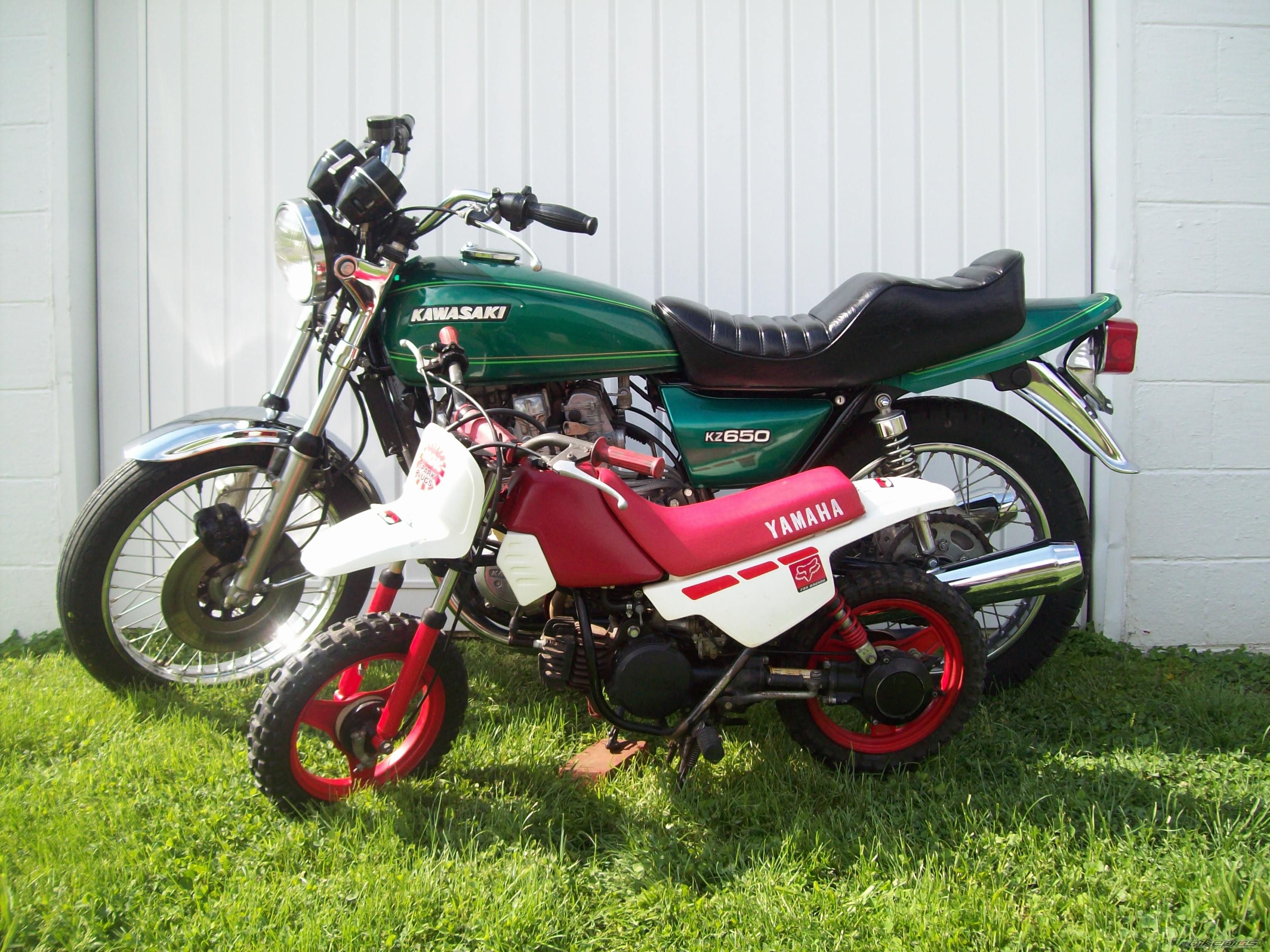 1995 YAMAHA PW 50 | Picture 1682717 motorcycle photo