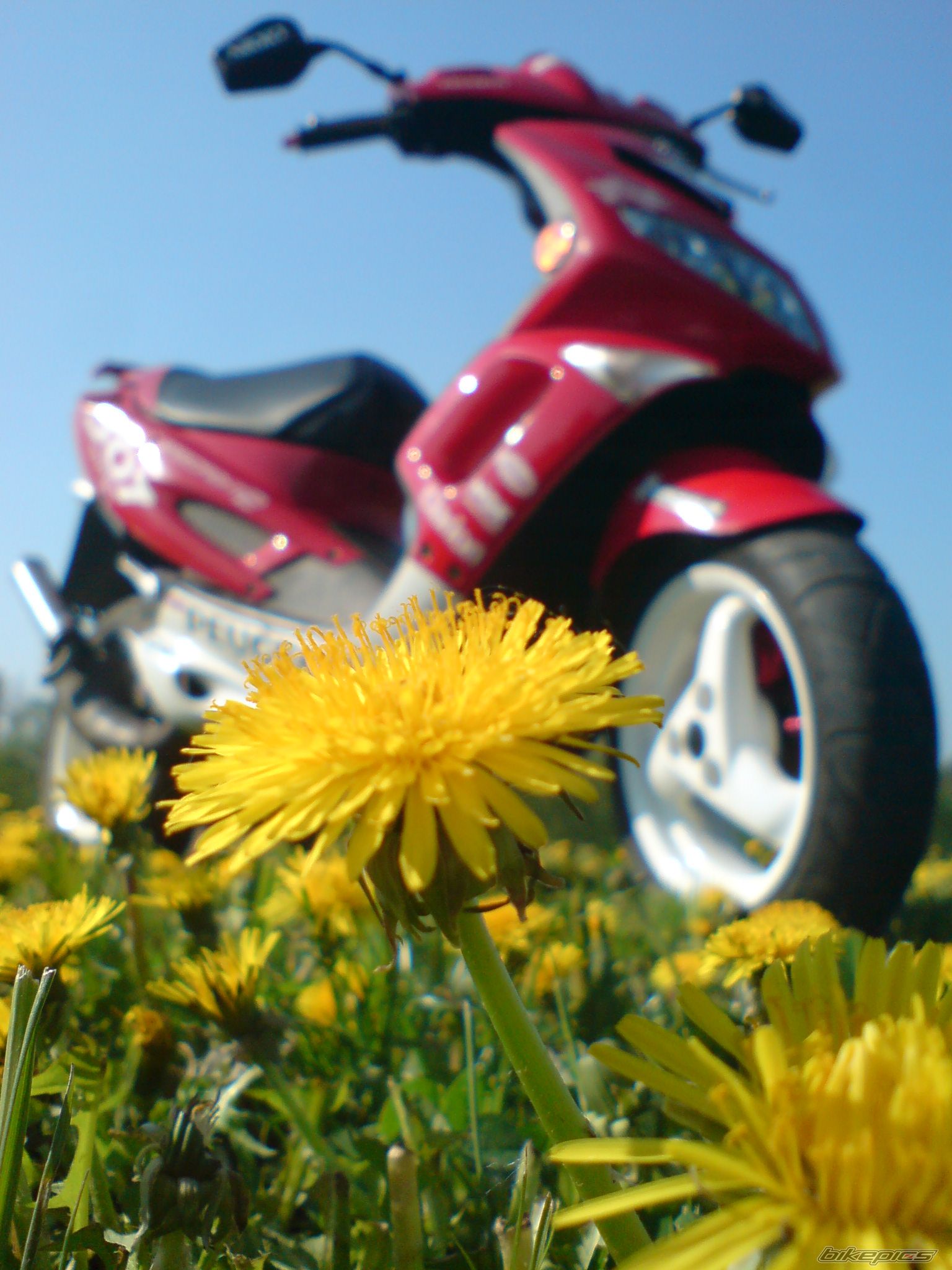 2005 PEUGEOT WRC 307 | Picture 1682910 motorcycle photo
