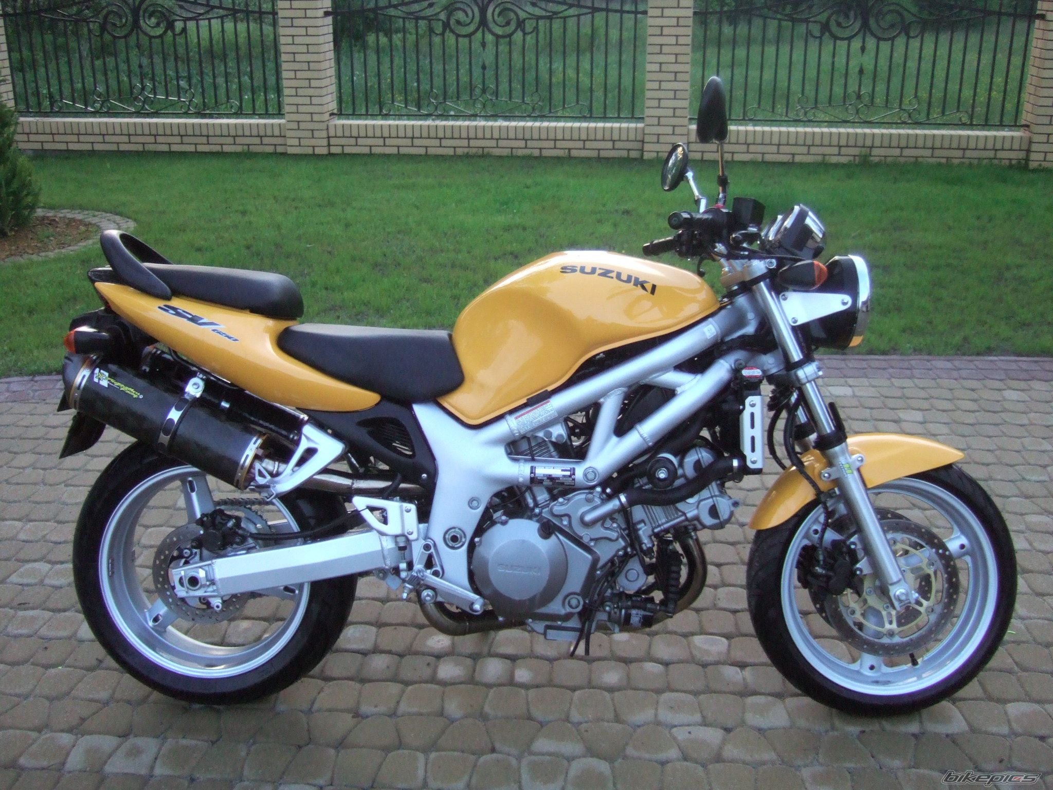 1999 SUZUKI SV 1000 | Picture 1683118 motorcycle photo