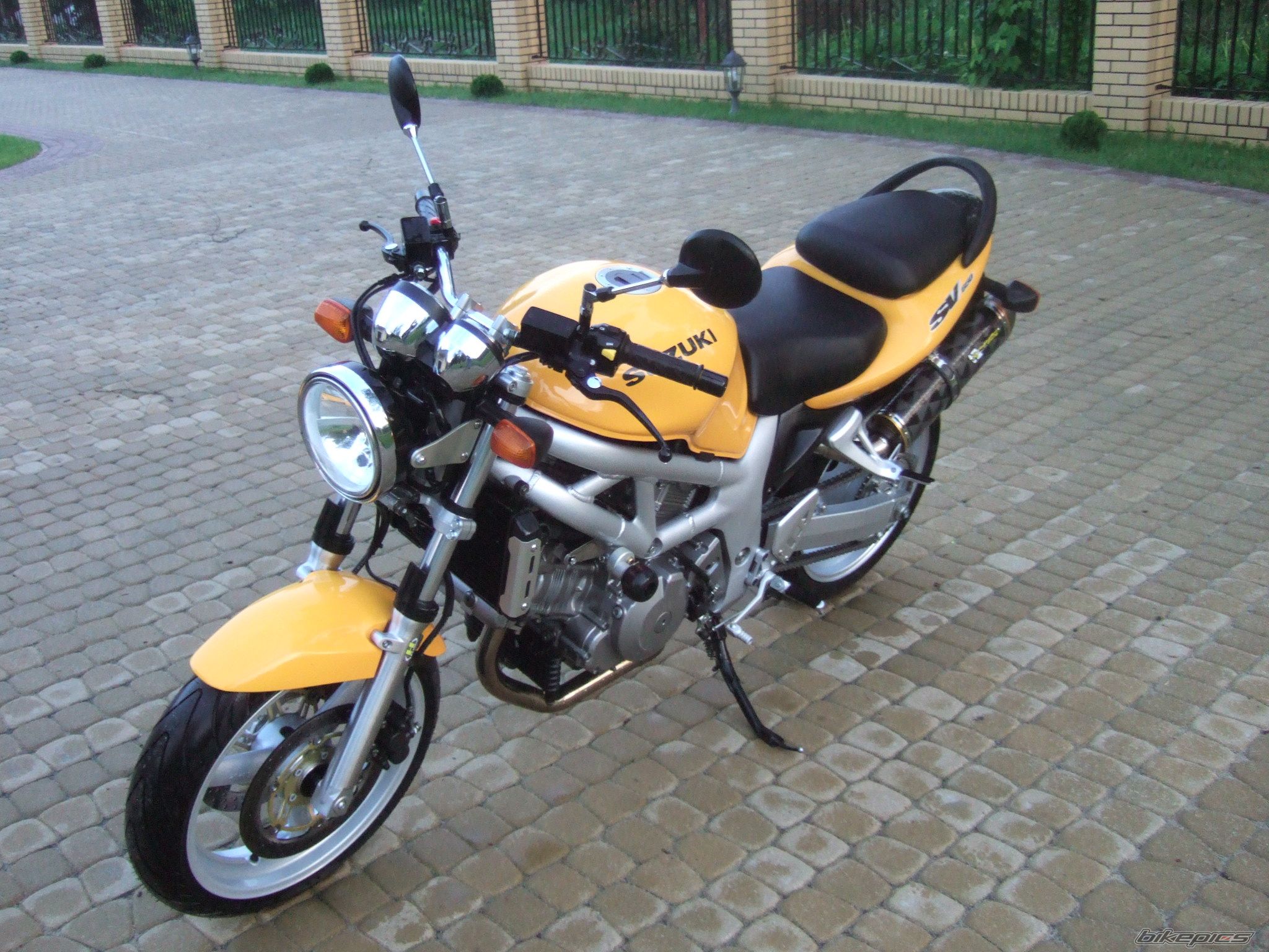 1999 SUZUKI SV 1000 | Picture 1683127 motorcycle photo