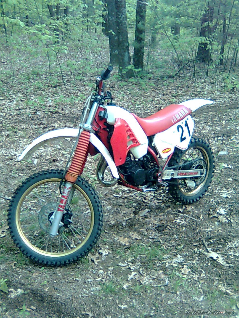 1986 YAMAHA YZ 125 | Picture 1683713 motorcycle photo