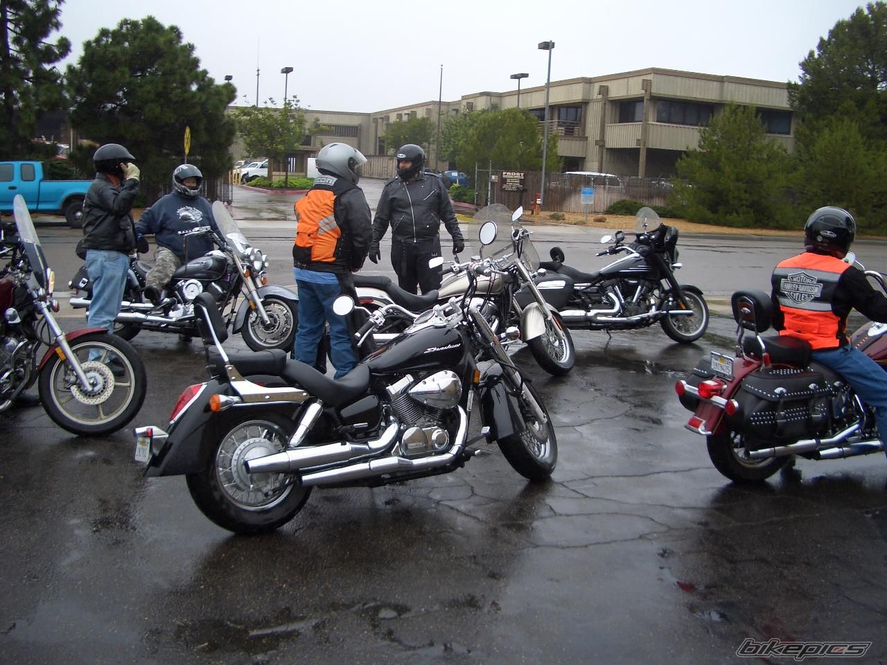 2009 HONDA SHADOW AERO 750 | Picture 1683778 motorcycle photo
