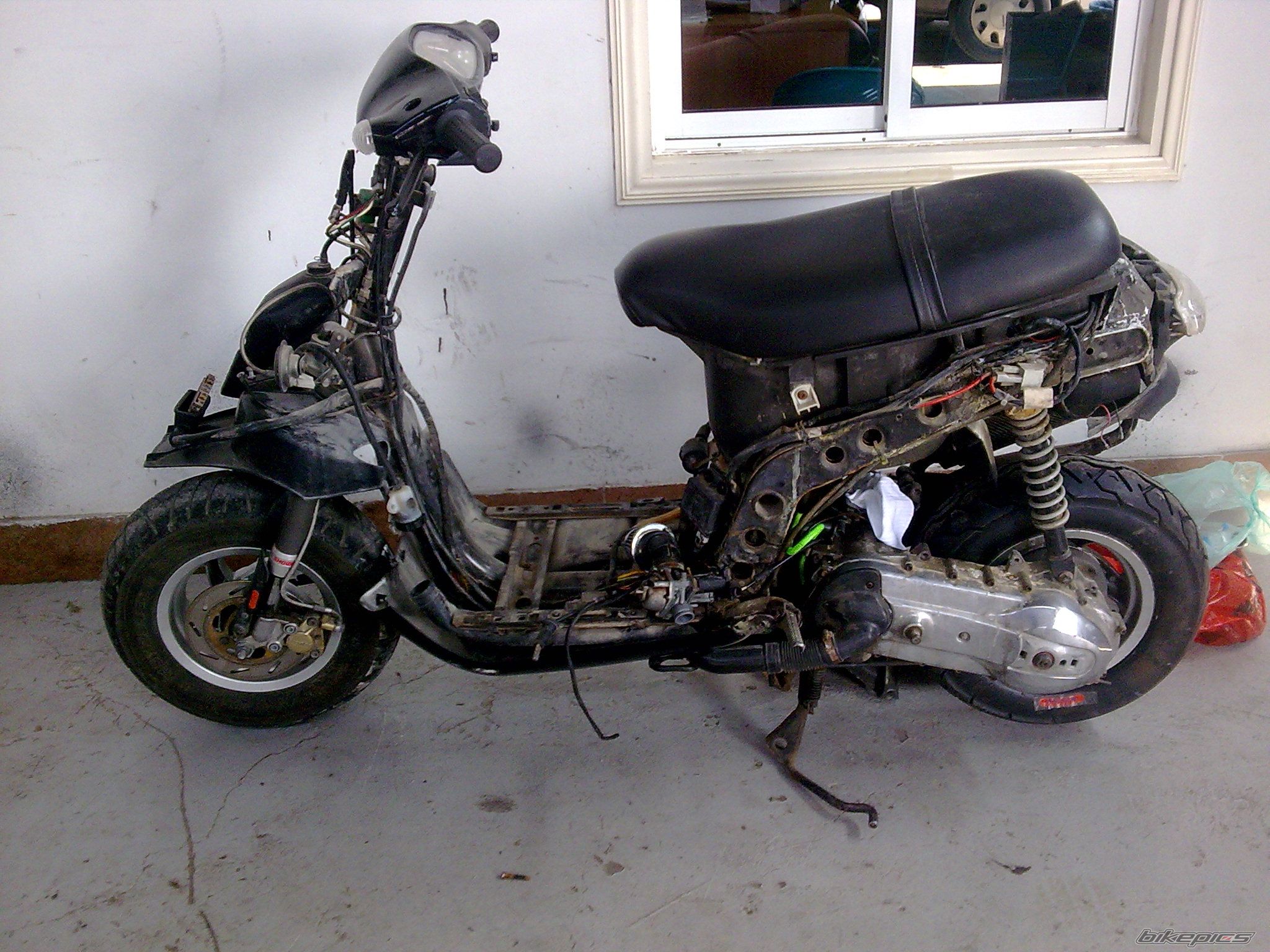2010 HONDA CHALY | Picture 1683940 motorcycle photo