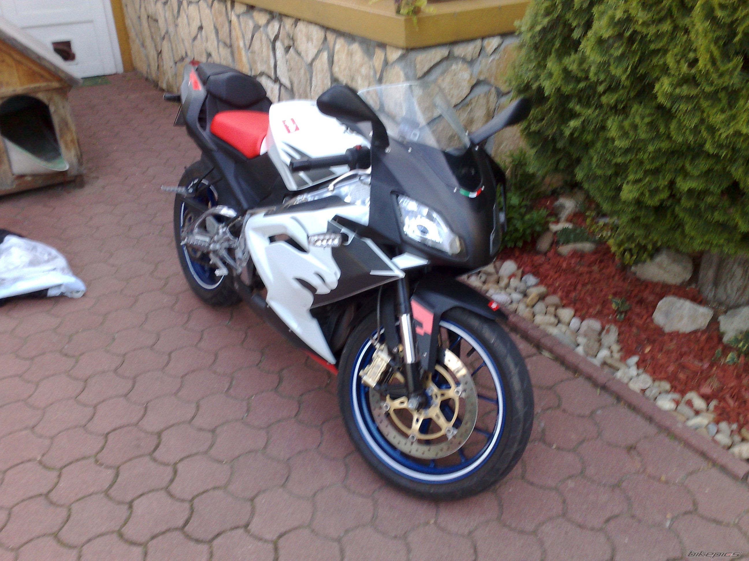 2008 APRILIA RS 125 | Picture 1684061 motorcycle photo