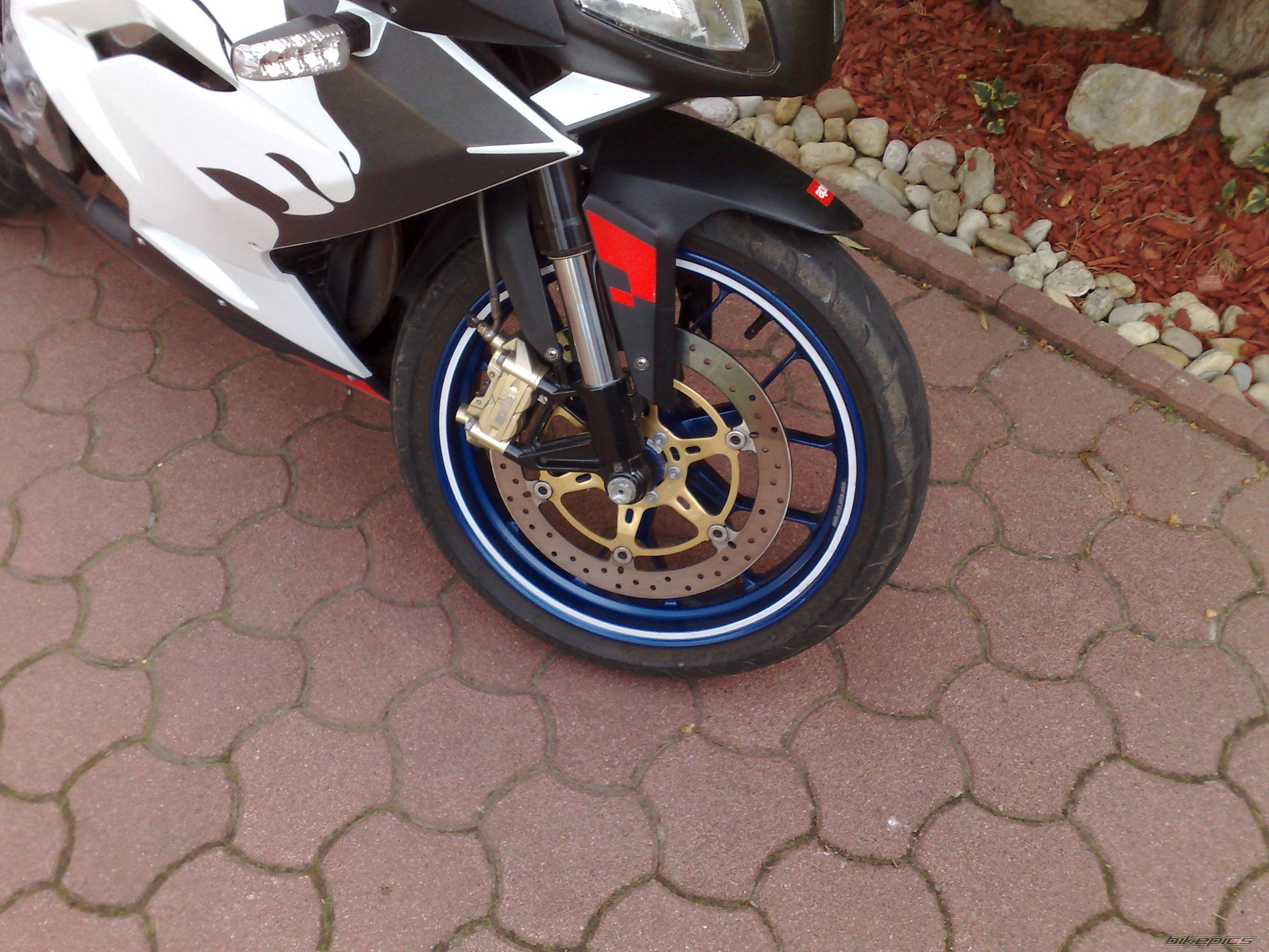 2008 APRILIA RS 125 | Picture 1684066 motorcycle photo