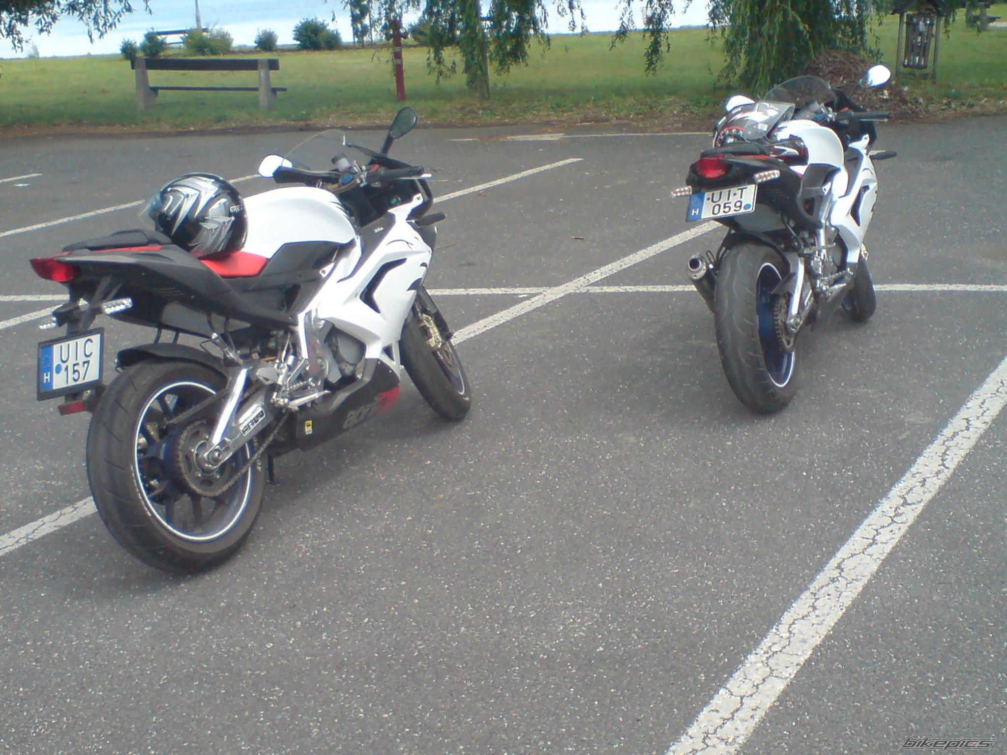 2008 APRILIA RS 125 | Picture 1684098 motorcycle photo
