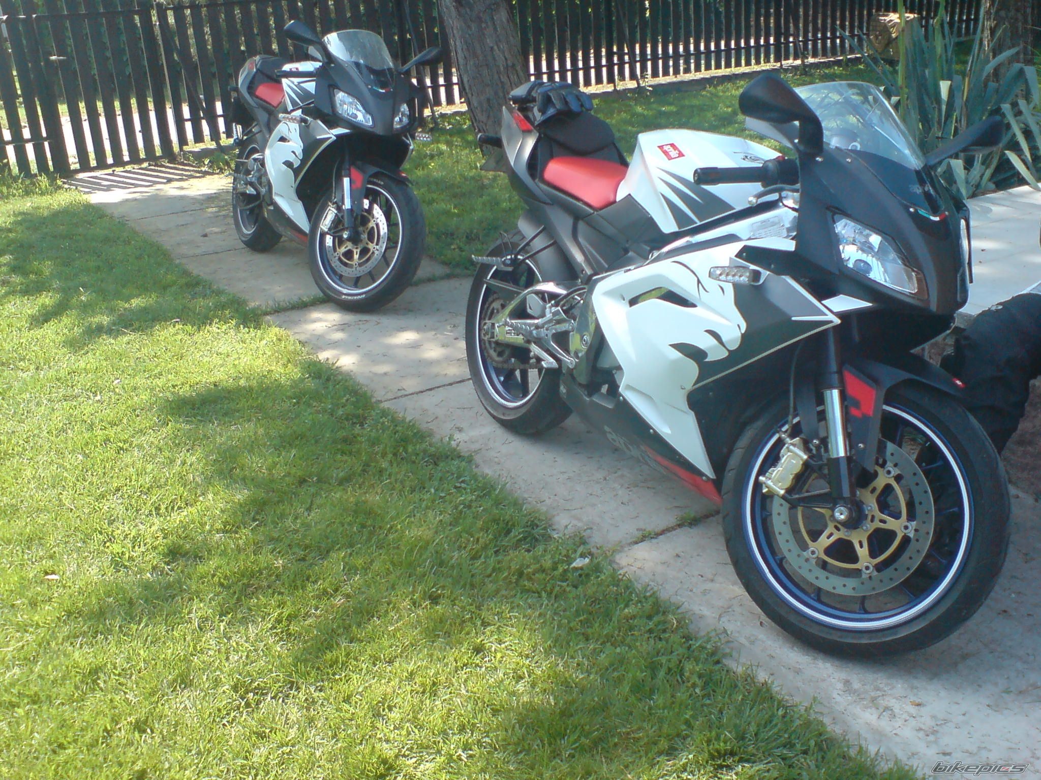 2008 APRILIA RS 125 | Picture 1684103 motorcycle photo