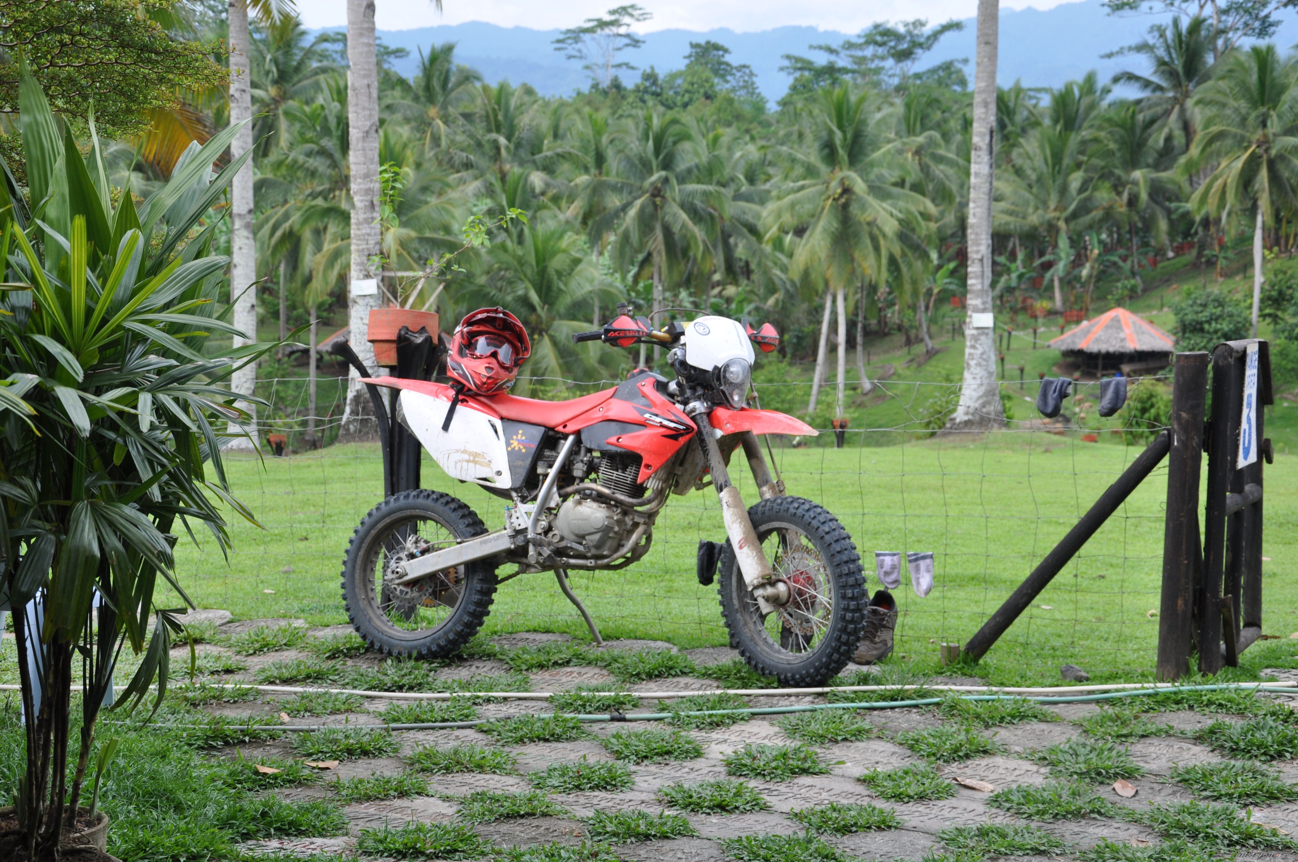 2009 HONDA XR 200 | Picture 1684355 motorcycle photo