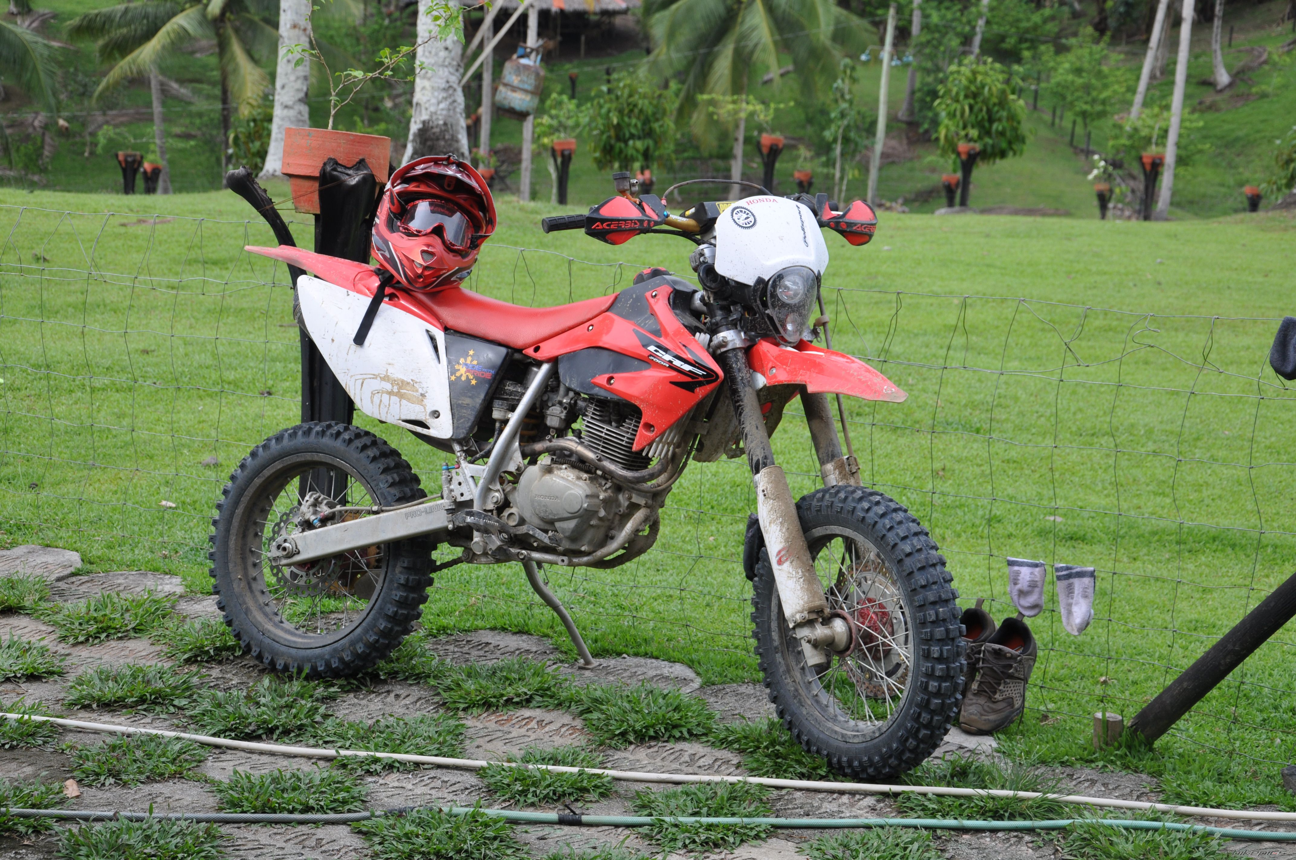 2009 HONDA XR 200 | Picture 1684357 motorcycle photo