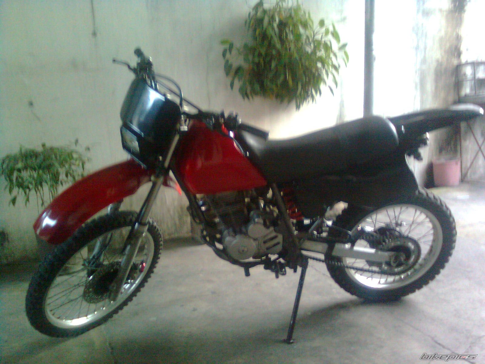 1999 HONDA XLR 200 | Picture 1684527 motorcycle photo