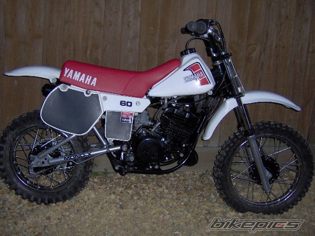 1982 YAMAHA YZ60 | Picture 1685160 motorcycle photo
