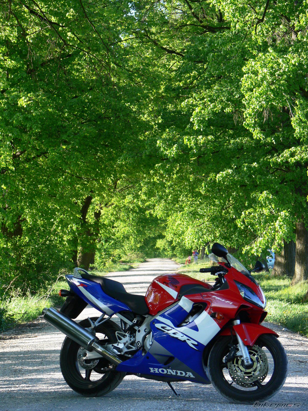2001 HONDA CBR 600 | Picture 1685907 motorcycle photo