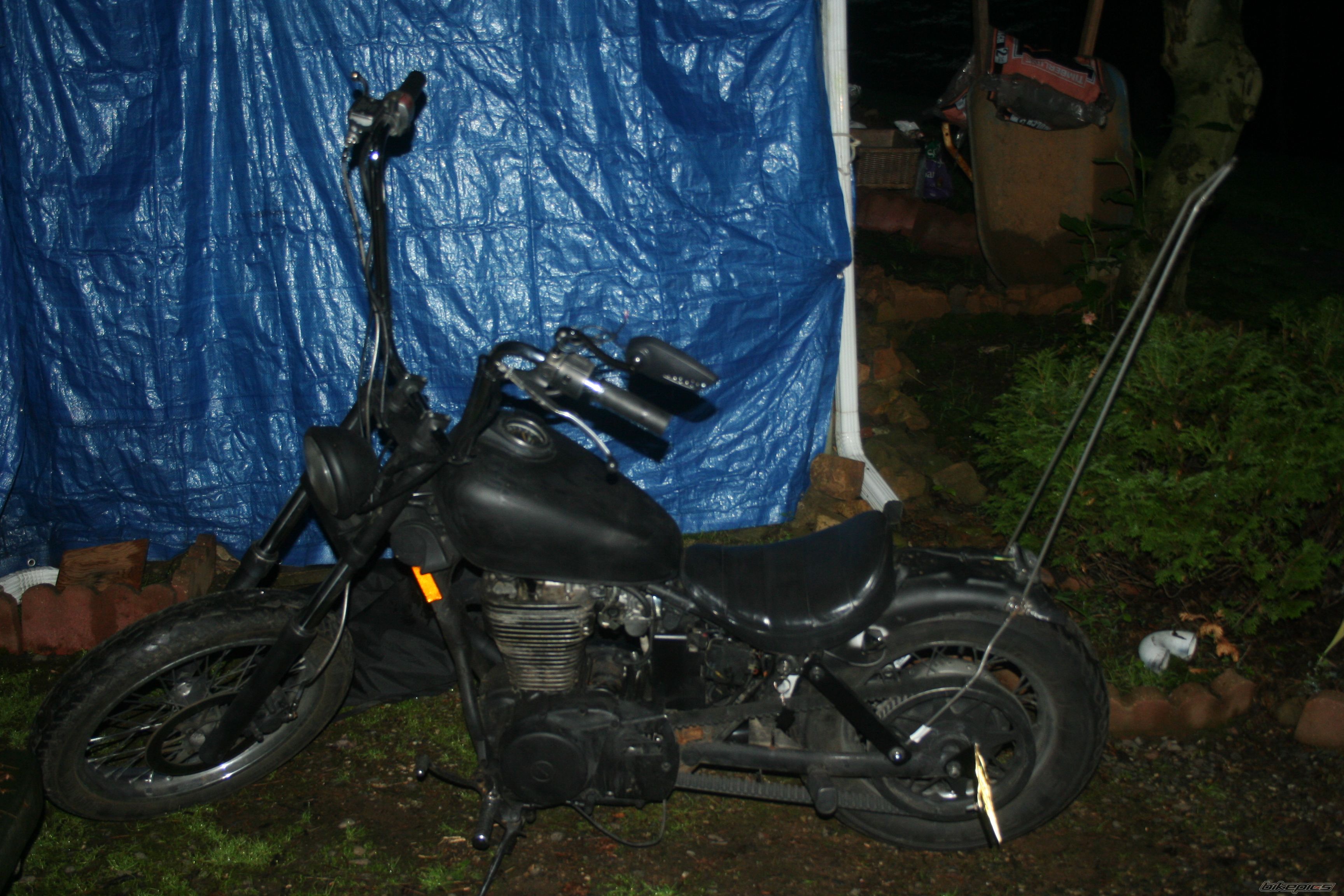 1987 SUZUKI SAVAGE | Picture 1686318 motorcycle photo