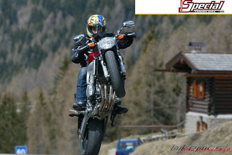2004 YAMAHA FZ6 FAZER | Picture 168653 motorcycle photo