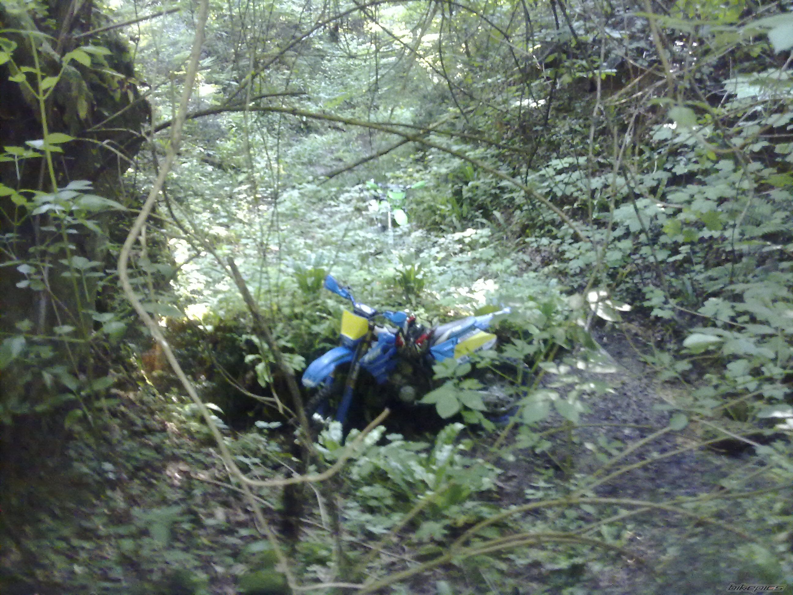 2005 TM TM125 ENDURO | Picture 1686869 motorcycle photo