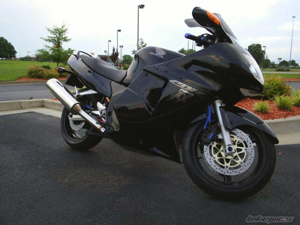 2003 HONDA CBR 1100 BLACKBIRD | Picture 1687142 motorcycle photo