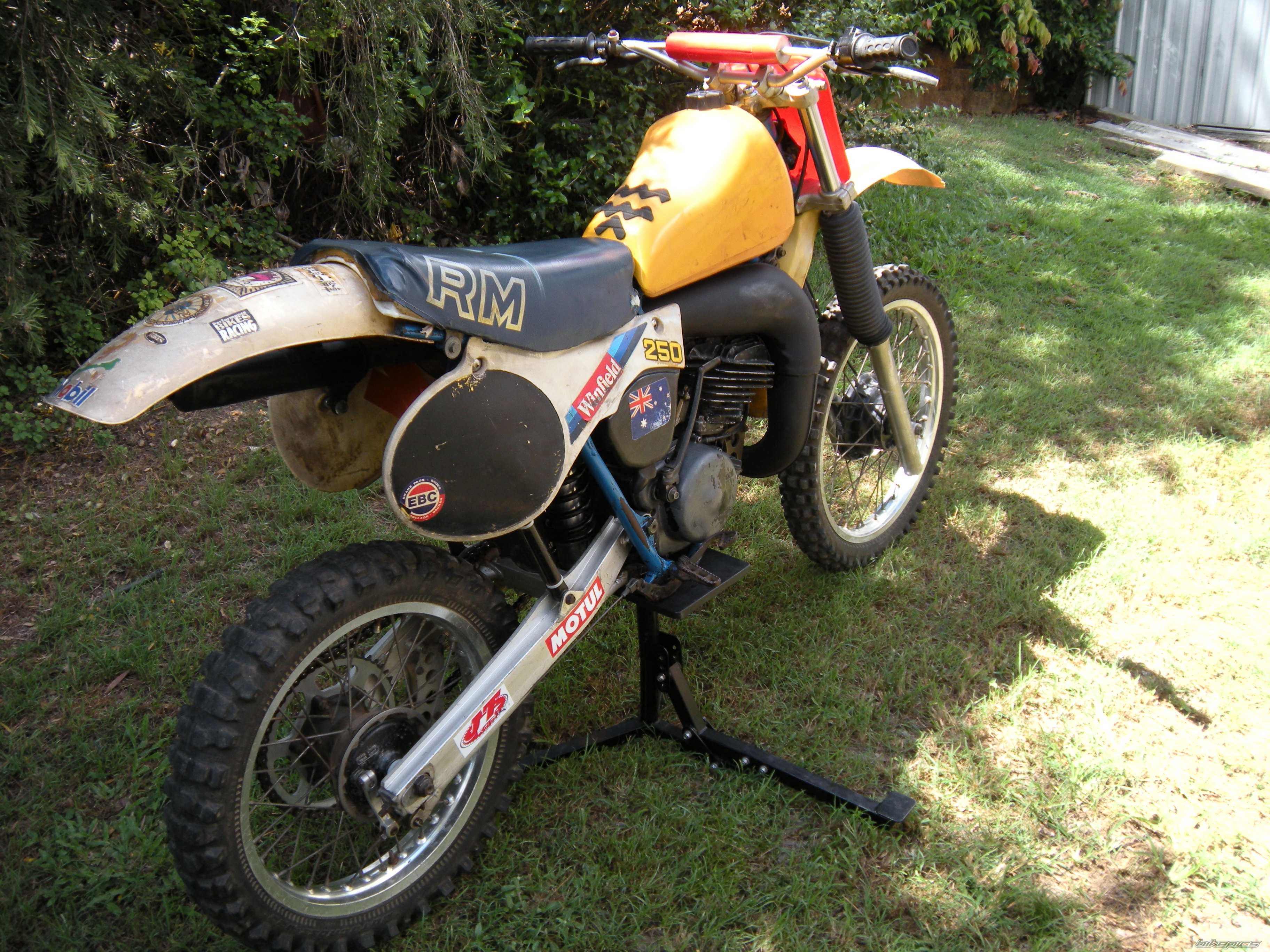 1981 SUZUKI RM 250 | Picture 1687447 motorcycle photo