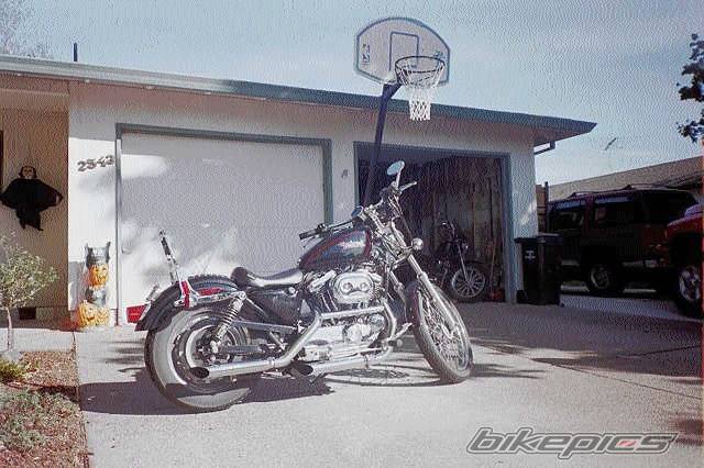 1999 HARLEY DAVIDSON XL 1200 C | Picture 16875 motorcycle photo