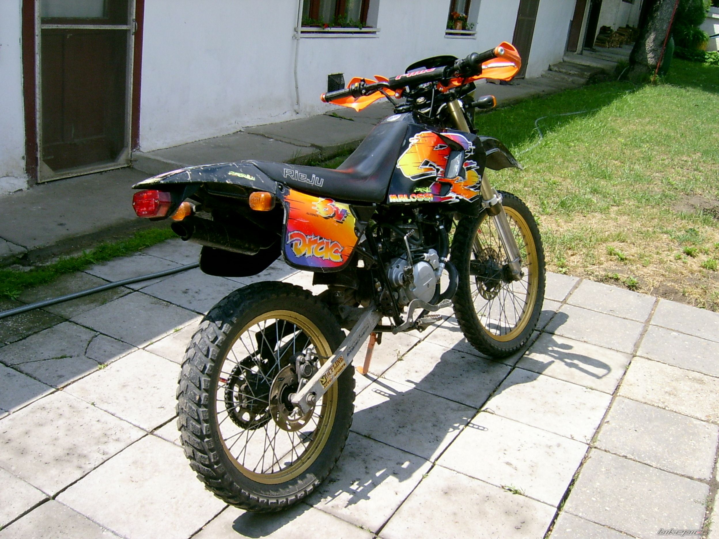 1996 RIEJU RR 50 | Picture 1687913 motorcycle photo