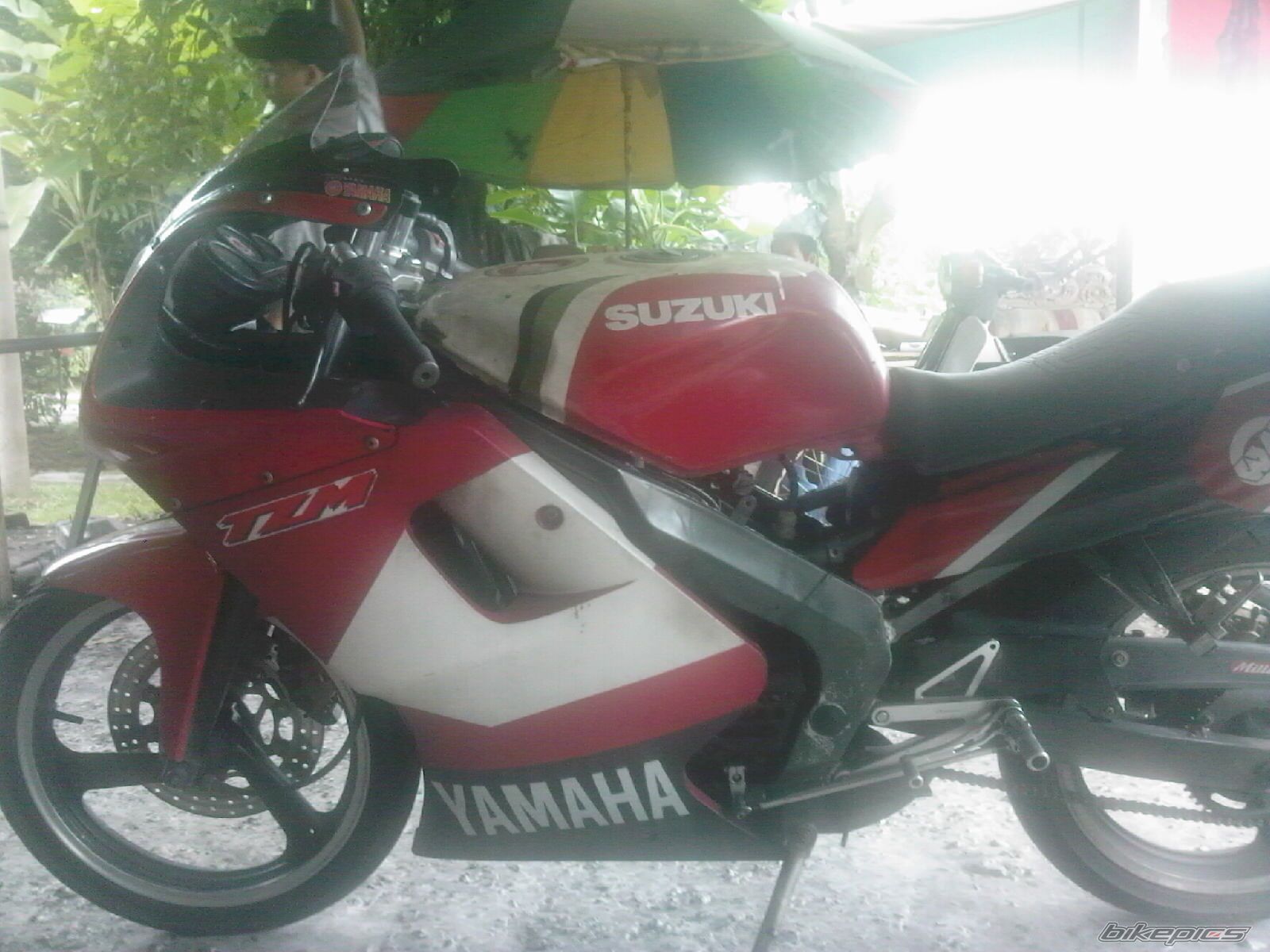 2009 YAMAHA TZM 150 | Picture 1688174 motorcycle photo
