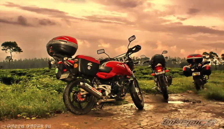 2008 BAJAJ PULSAR 200 | Picture 1688193 motorcycle photo
