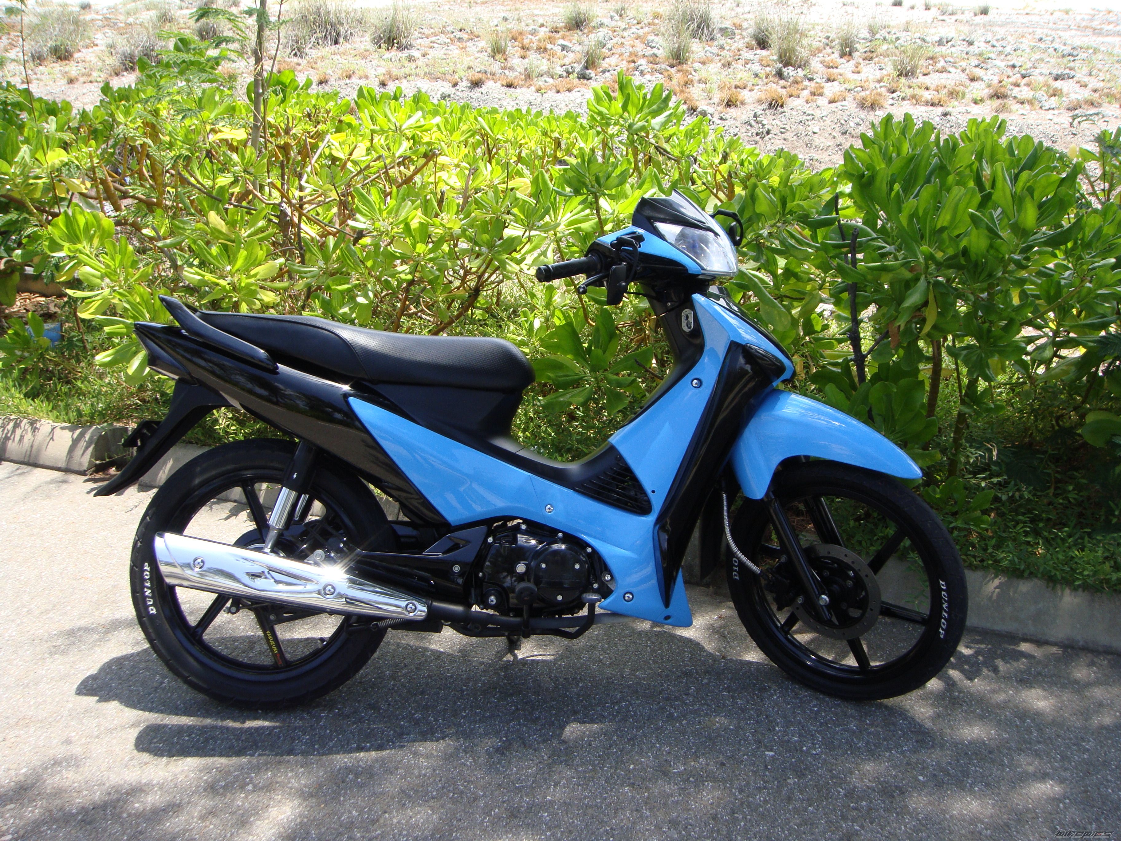 2008 HONDA WAVE 125 | Picture 1689284 motorcycle photo