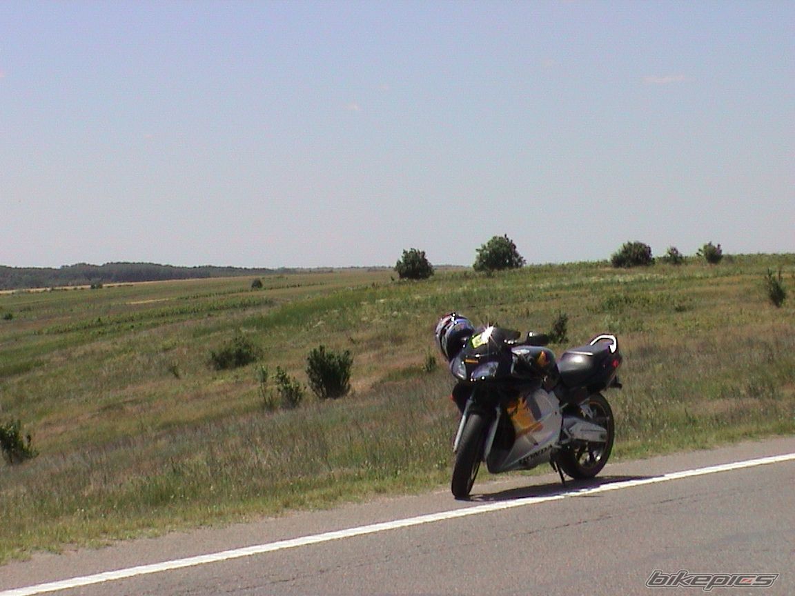 1999 HONDA NSR 125 | Picture 1689493 motorcycle photo
