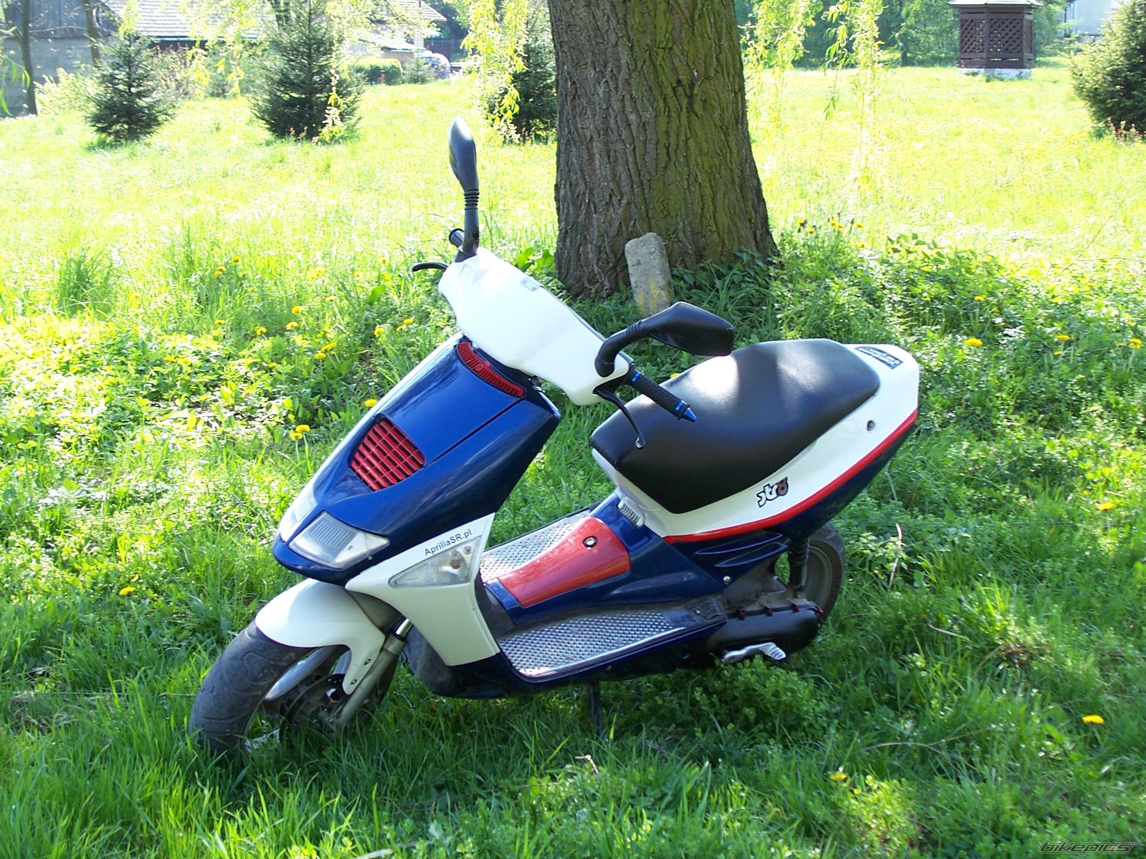 1995 APRILIA SR 50 | Picture 1689676 motorcycle photo
