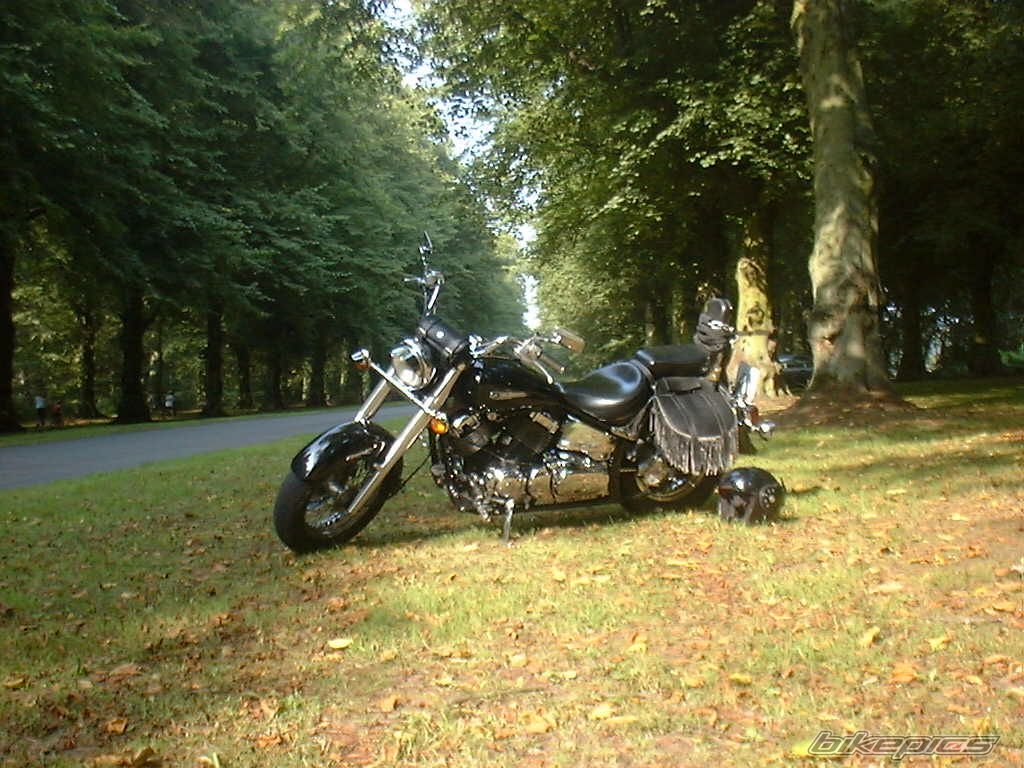 1998 YAMAHA XVS 650 DRAG STAR CLASSIC | Picture 1689895 motorcycle photo