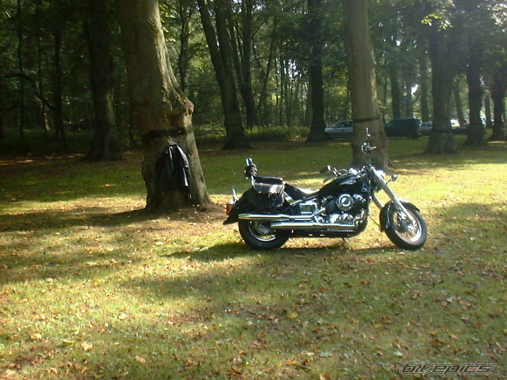 1998 YAMAHA XVS 650 DRAG STAR CLASSIC | Picture 1689907 motorcycle photo