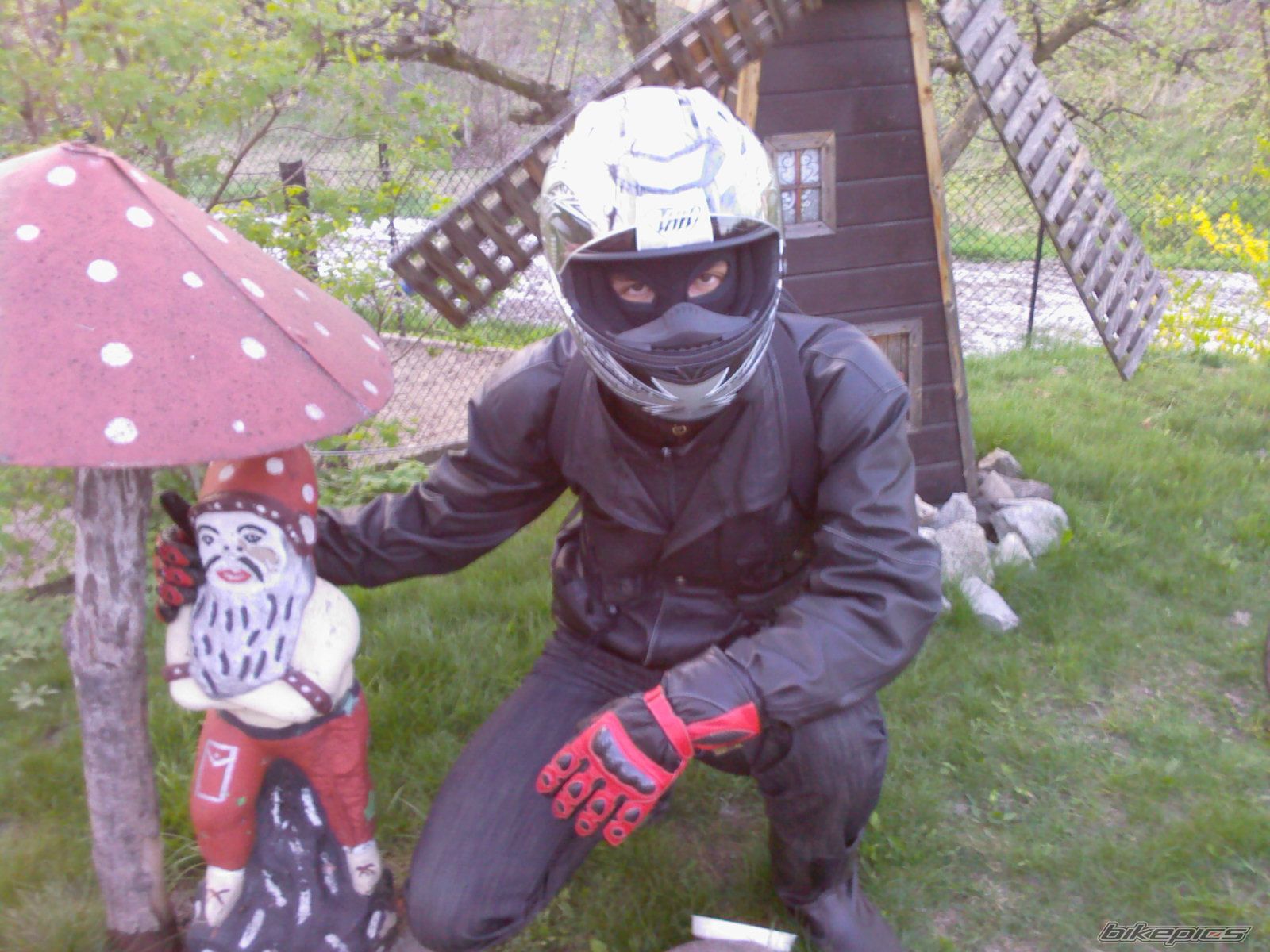    | Picture 1690078 motorcycle photo