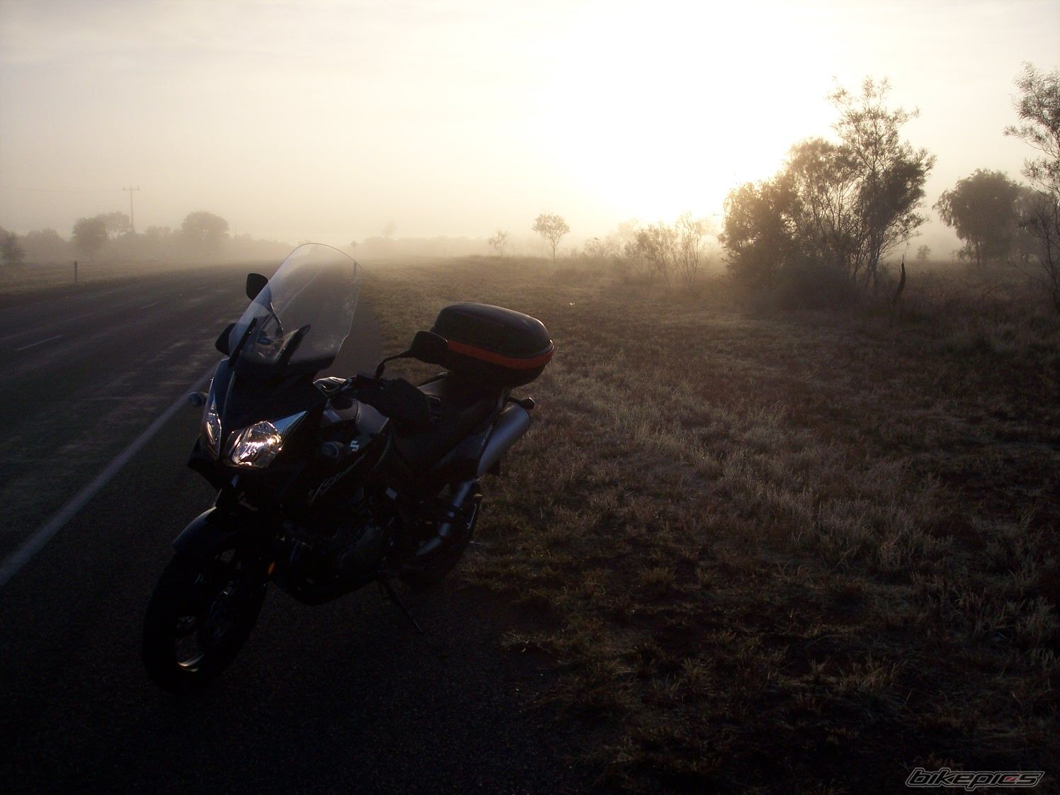 2009 SUZUKI DL 1000 | Picture 1690254 motorcycle photo