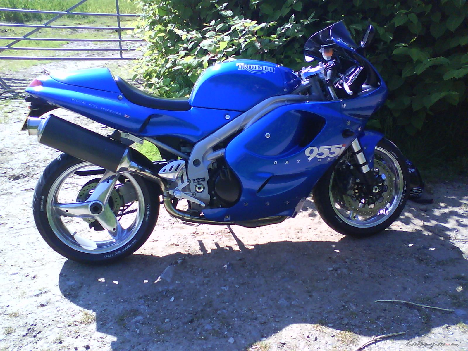 2000 TRIUMPH DAYTONA 955 | Picture 1690441 motorcycle photo
