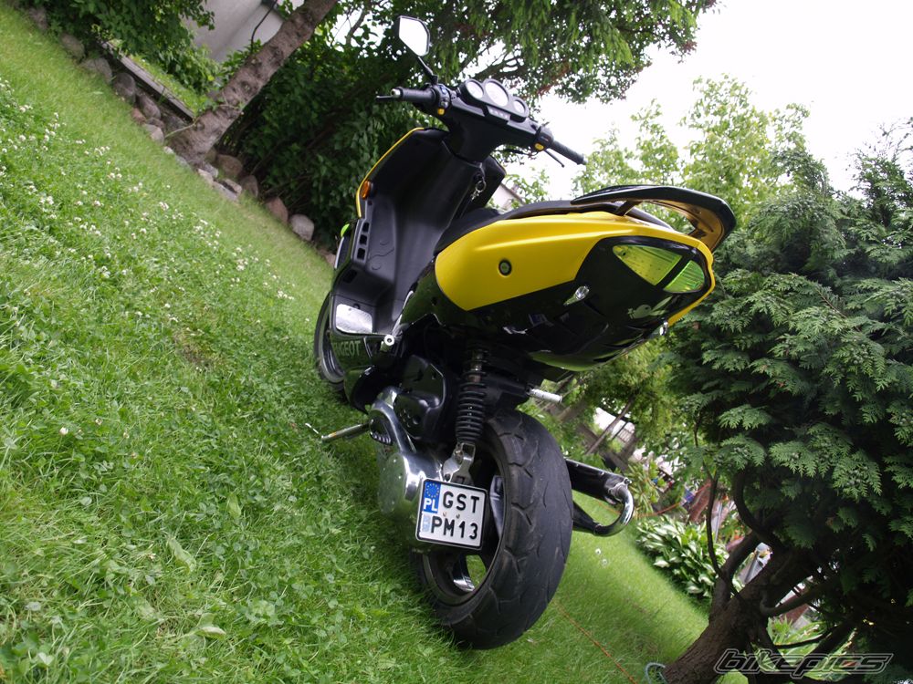 2008 PEUGEOT SPEEDFIGHT2 50 | Picture 1690480 motorcycle photo