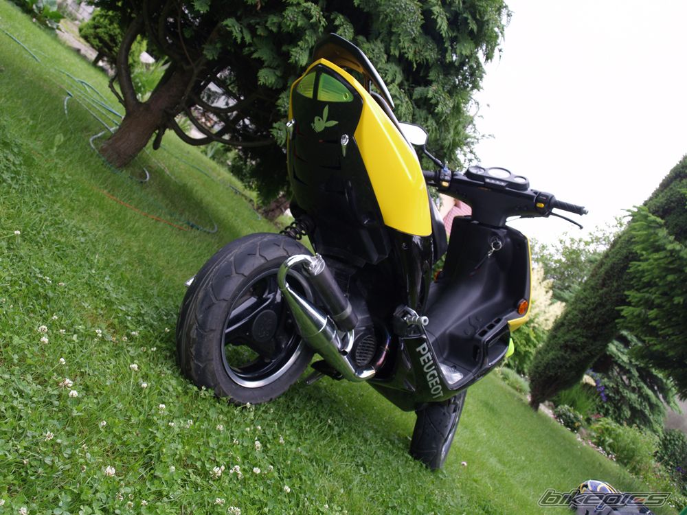 2008 PEUGEOT SPEEDFIGHT2 50 | Picture 1690496 motorcycle photo
