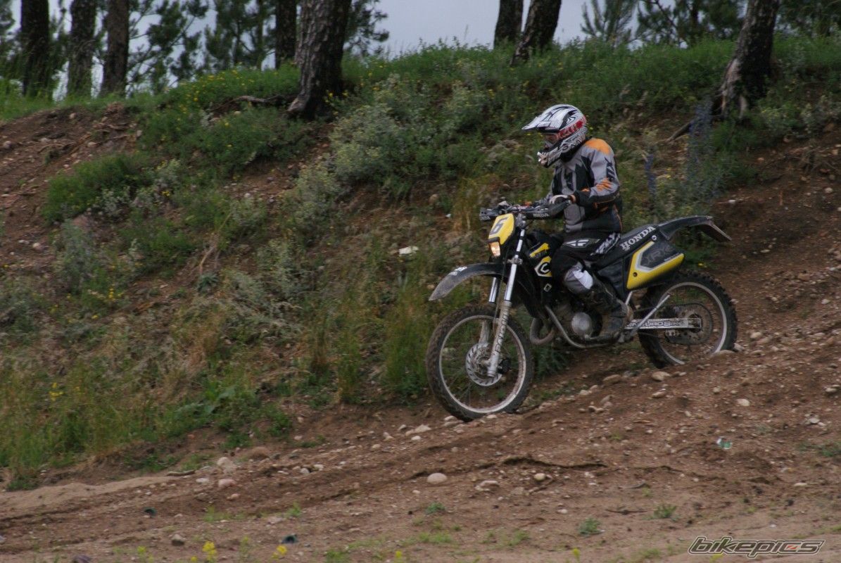 2001 HM CRE 50 | Picture 1690793 motorcycle photo