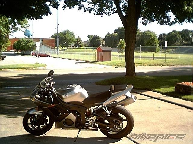 2003 YAMAHA YZF R6 | Picture 169086 motorcycle photo