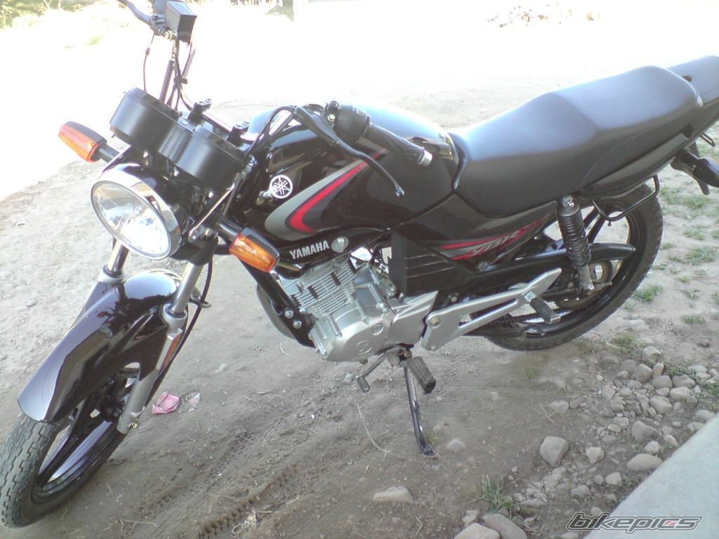 2008 YAMAHA YBR 125 | Picture 1691179 motorcycle photo