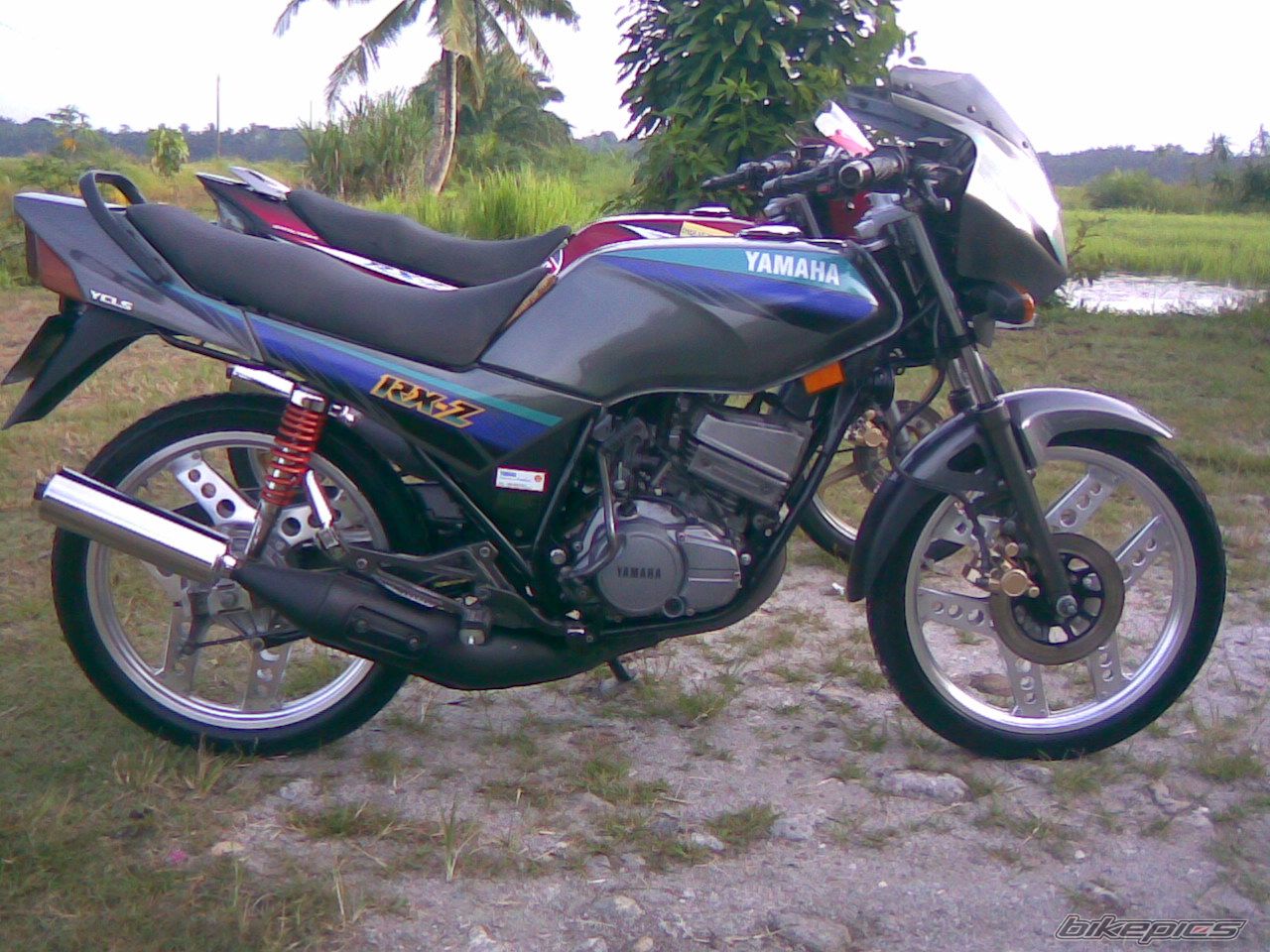 2010 YAMAHA RXZ 135 | Picture 1691254 motorcycle photo