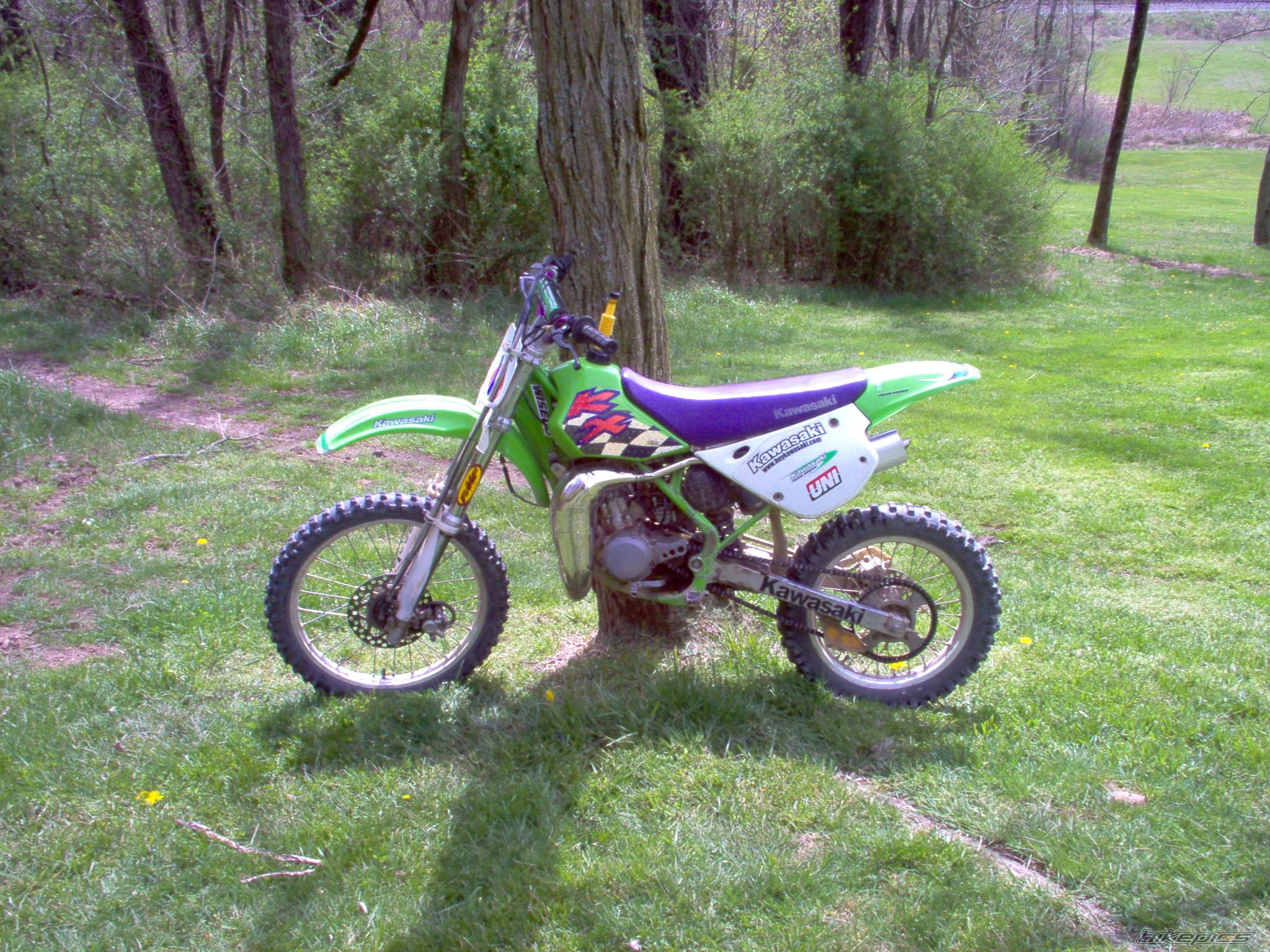 1995 KAWASAKI KX 100 | Picture 169126 motorcycle photo