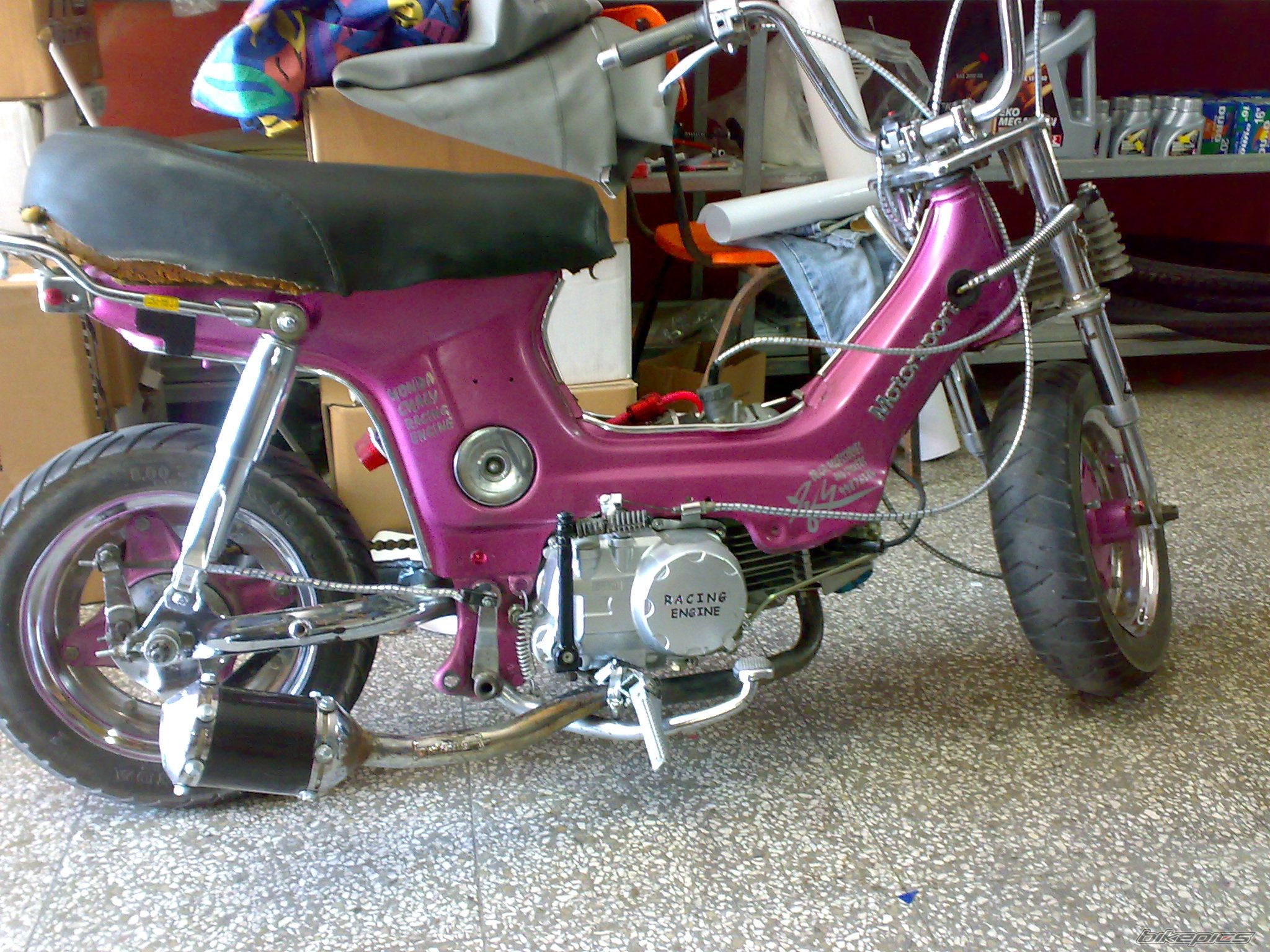 2010 HONDA CHALY | Picture 1691381 motorcycle photo