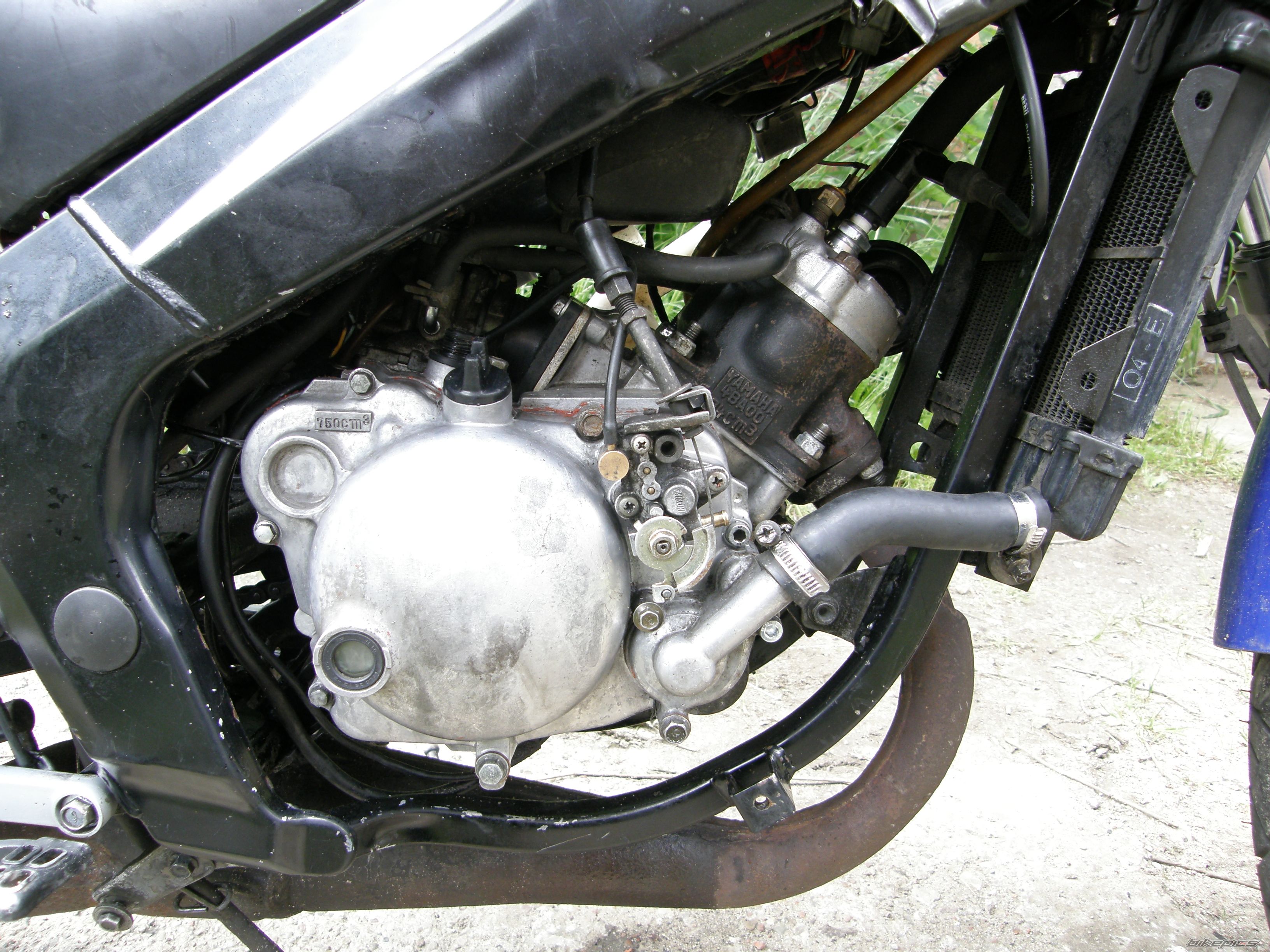 2004 YAMAHA TZR 50 | Picture 1691476 motorcycle photo