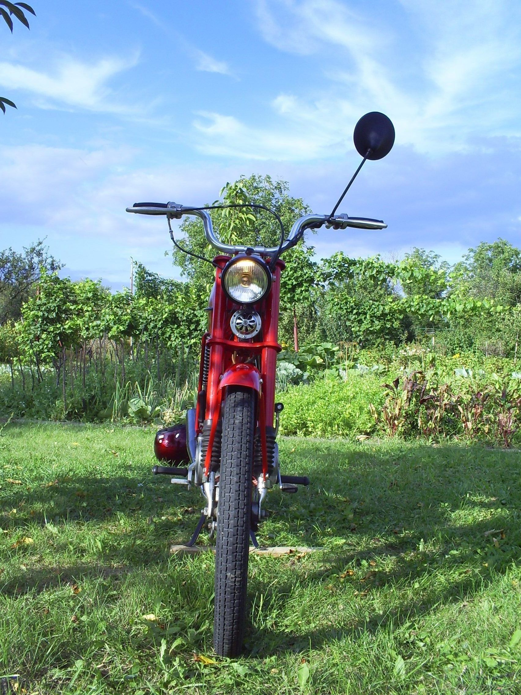 1980 ROMET 50 T 1 | Picture 1691602 motorcycle photo