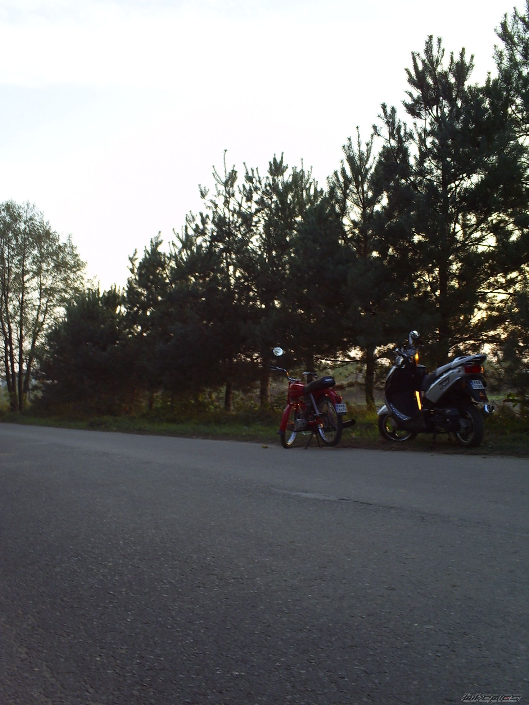 1980 ROMET 50 T 1 | Picture 1691636 motorcycle photo
